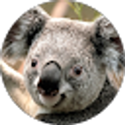 Profile photo of Austin Groves