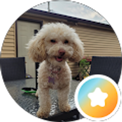 Profile photo of PAULA E OROZCO