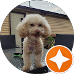 Profile photo of PAULA E OROZCO