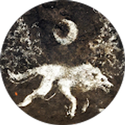 Profile photo of AJ Branch