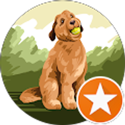 Profile photo of Michelle ODell