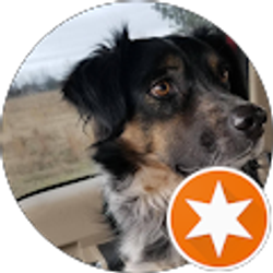 Profile photo of Darrell Timmons