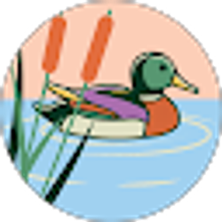 Profile photo of Debbie Frend