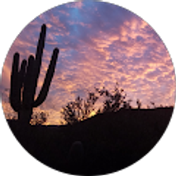 Profile photo of Warren Fasching