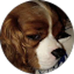 Profile photo of Danielle Shank