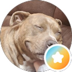 Profile photo of Michael Elkin