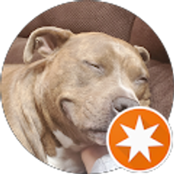 Profile photo of Michael Elkin