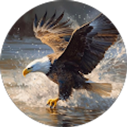 Profile photo of Zeeshan Mona