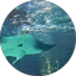 Profile photo of Genise Stuckey