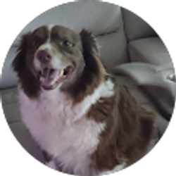 Profile photo of Sarah Lively