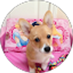 Profile photo of Angie Garcia