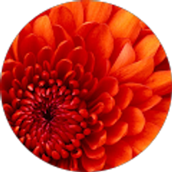 Profile photo of Jacquelyn Almendarez