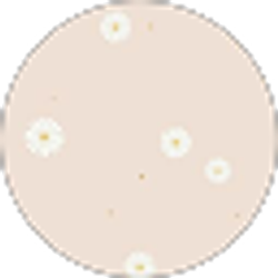 Profile photo of Devyn McDermott