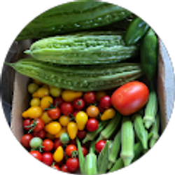 Profile photo of Roberto Phoa