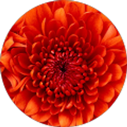 Profile photo of Cassandra Hogue