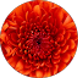 Profile photo of Cassandra Hogue