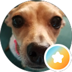 Profile photo of Allison Garcia Hernandez