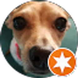 Profile photo of Allison Garcia Hernandez