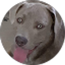 Profile photo of B T