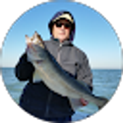 Profile photo of dm milburn