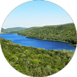 Profile photo of Alex V