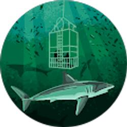 Profile photo of Megan Best