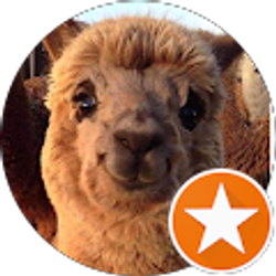 Profile photo of Todd French