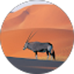 Profile photo of snitty100