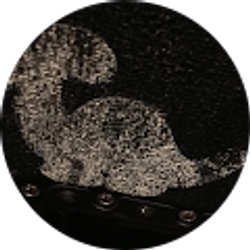 Profile photo of Eli Fawley