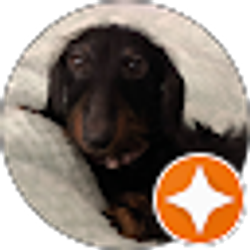 Profile photo of Barbara Stromberg