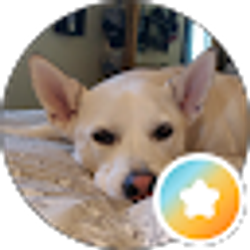 Profile photo of Olivia