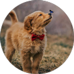 Profile photo of Erika Quinteros