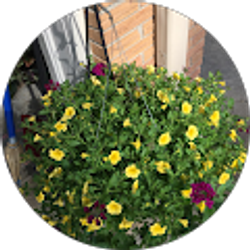 Profile photo of Crystal Kennedy