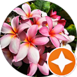 Profile photo of Mallory Flagg