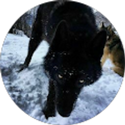 Profile photo of Sissy W