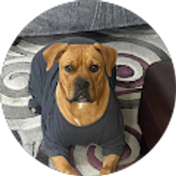 Profile photo of Edin Lemus