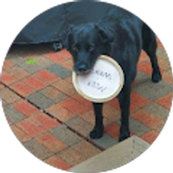 Profile photo of Michael Wehde