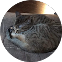 Profile photo of Austin Combs