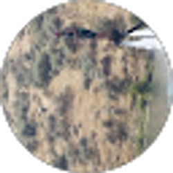 Profile photo of Cameron Perrigo