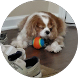 Profile photo of Fleurette Wollter