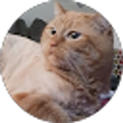 Profile photo of M Hlib