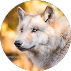 Profile photo of Mel