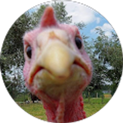 Profile photo of Tom from America