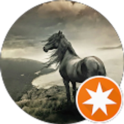 Profile photo of anna salini