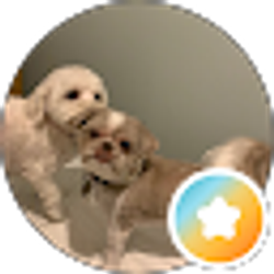 Profile photo of watsonwi04