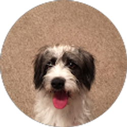 Profile photo of Lisa Gillig