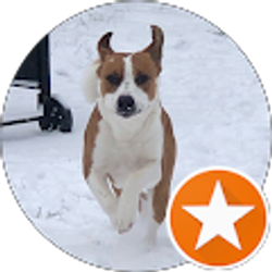 Profile photo of Christina Stevenson