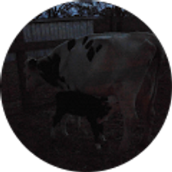 Profile photo of Mike Barlow