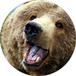 Profile photo of JiggyCheeseDog