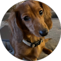 Profile photo of Brett Parsons